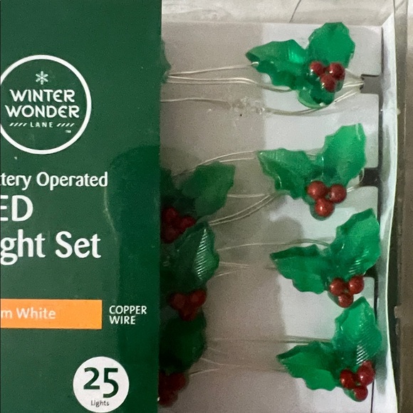 Winter Wonder LED Light Set with Holly Design-25 Lights - Picture 3 of 4